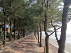 -江山半岛白浪滩景区