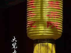 -大觉寺-停车场