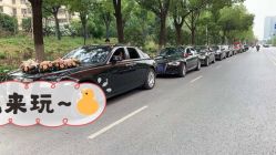 -蚂蚁婚车