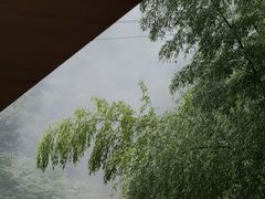 -水墨汀溪风景区