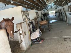 -松声马术俱乐部