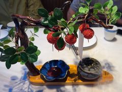 -唐猫庭院·千年陕菜(大唐不夜城店)