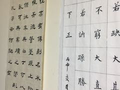-曦辰书院·书法篆刻