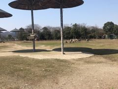 -宁波野生动物园