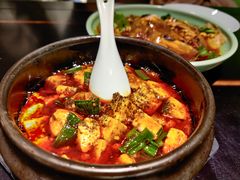 -陈麻婆豆腐总店