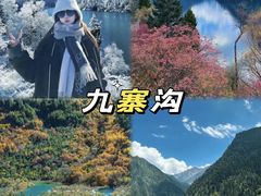 -CGV影城(壹方城IMAX店)