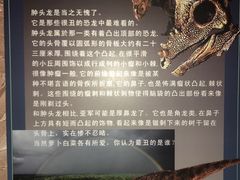 -世界恐龙谷景区