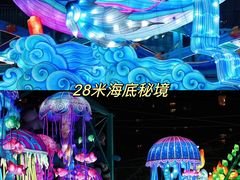 -海合安成都极地海洋公园