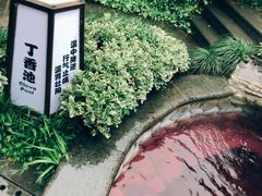 -杭州第一世界大酒店·云曼温泉