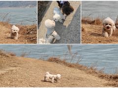 -北京金海湖景区