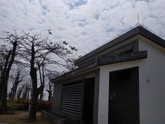 -芒洲湿地公园
