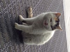 iphone_upload_pic-北京园博大酒店