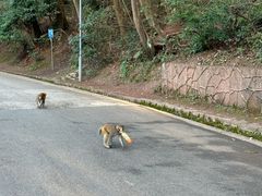 -黔灵山公园