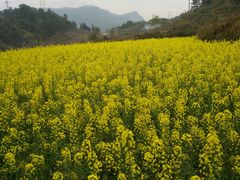 -牛角寨瀑布景区