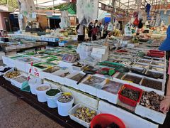 -外伶仃岛海鲜市场