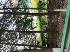 -黄河小浪底水利枢纽风景区