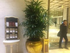 -天津津利华酒店