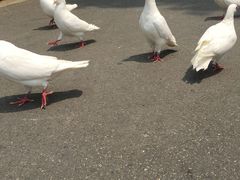 -国色天乡三期陆地乐园