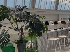-白噪音White Noise·798概念店