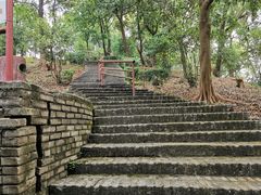-大雁山风景区