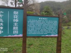 -贵州百里杜鹃风景名胜区