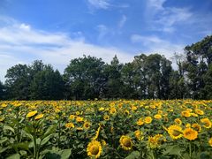 -中国天府农业博览园