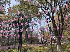 -金鸡湖桃花岛