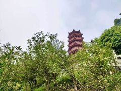 -南沙天后宫景区