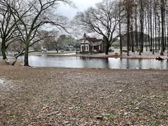 -上海共青森林公园