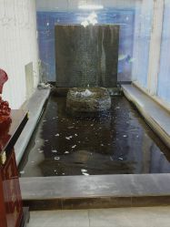 -石家庄苏亚美联臣医疗美容医院