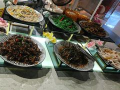 -经典世家牛排自助餐厅(百捷店)