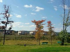 android_upload_pic-汤旺河林海奇石景区