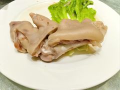 -丁老爷子苏香圆