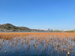 -浙江省博物馆(孤山馆区)