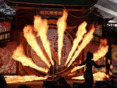 -武汉园博园(武汉自然博物馆)