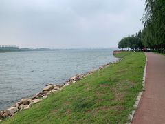 -丁香湖公园
