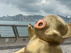 -星光大道