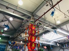 -东南花都花博园