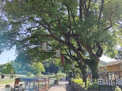 -东钱湖旅游度假区