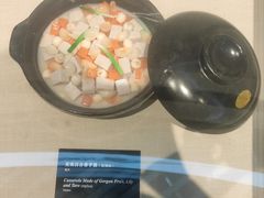 -广东中医药博物馆