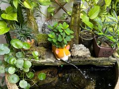 -茶米人台湾料理·精致快简餐
