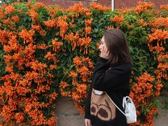 -溪岸路花鸟市场