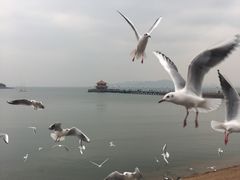 -泛海名人酒店-餐厅