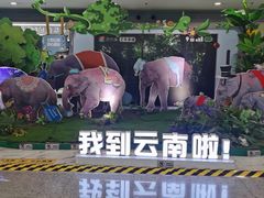 -老滇山寨•云南特色菜•地方菜•民族风情歌舞表演(金碧店)