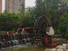 -水车博览园