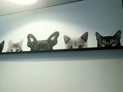 壁画-吃饼人西餐(南开店)