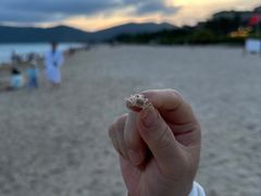 -三亚太阳湾柏悦酒店