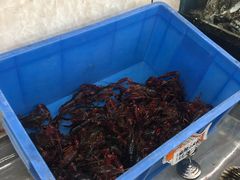 -渔民船说·北塘海鲜·天津菜·海肠捞饭(北塘古镇店)