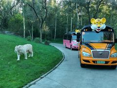 -北京野生动物园