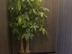 -鹿栖(佛山季华园店)